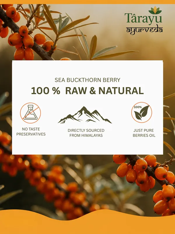 Sea Buckthorn Extract Capsules - Image 5